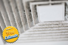 mold removal service